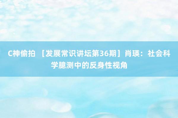 C神偷拍 ［发展常识讲坛第36期］肖瑛：社会科学臆测中的反身性视角