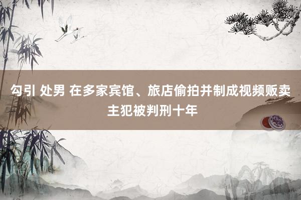 勾引 处男 在多家宾馆、旅店偷拍并制成视频贩卖 主犯被判刑十年