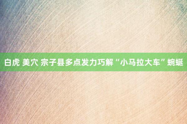 白虎 美穴 宗子县多点发力巧解“小马拉大车”蜿蜒