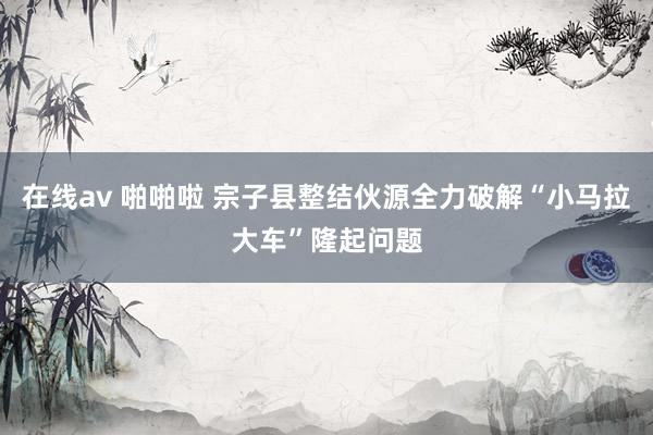 在线av 啪啪啦 宗子县整结伙源全力破解“小马拉大车”隆起问题