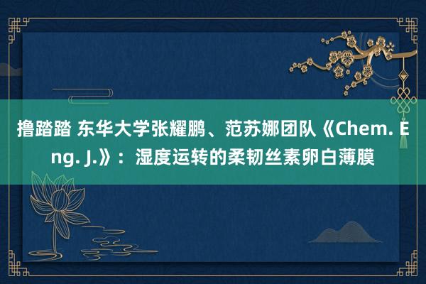 撸踏踏 东华大学张耀鹏、范苏娜团队《Chem. Eng. J.》：湿度运转的柔韧丝素卵白薄膜