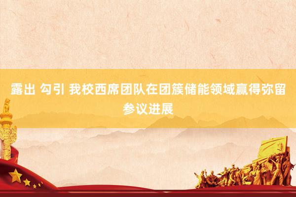 露出 勾引 我校西席团队在团簇储能领域赢得弥留参议进展