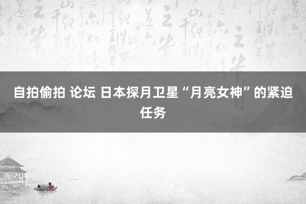 自拍偷拍 论坛 日本探月卫星“月亮女神”的紧迫任务