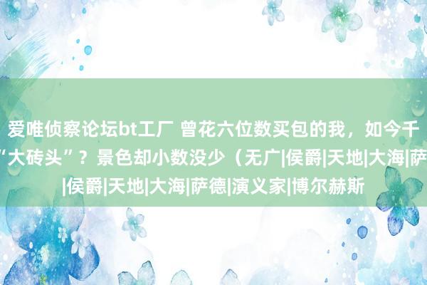 爱唯侦察论坛bt工厂 曾花六位数买包的我，如今千里迷这些不外百的“大砖头”？景色却小数没少（无广|侯爵|天地|大海|萨德|演义家|博尔赫斯