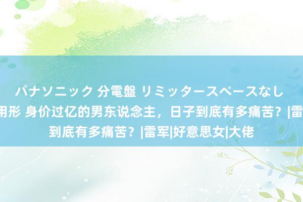 パナソニック 分電盤 リミッタースペースなし 露出・半埋込両用形 身价过亿的男东说念主，日子到底有多痛苦？|雷军|好意思女|大佬