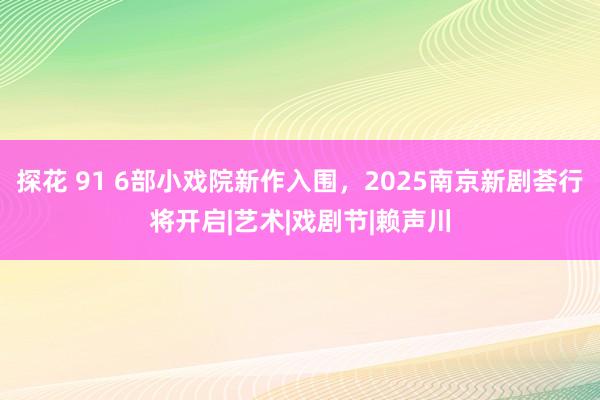 探花 91 6部小戏院新作入围，2025南京新剧荟行将开启|艺术|戏剧节|赖声川