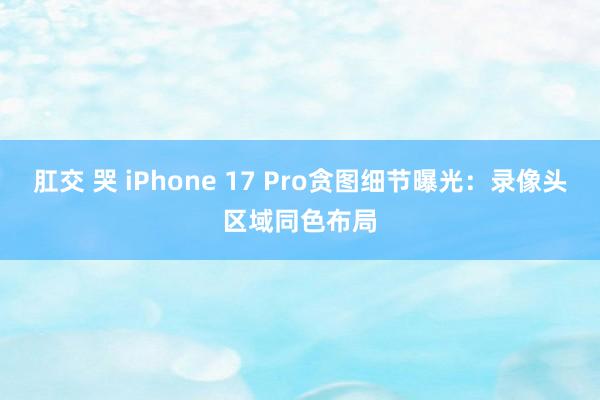 肛交 哭 iPhone 17 Pro贪图细节曝光：录像头区域同色布局