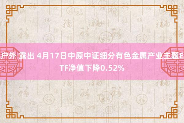 户外 露出 4月17日中原中证细分有色金属产业主题ETF净值下降0.52%