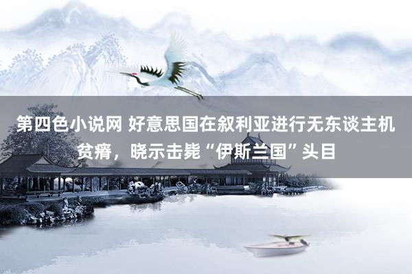 第四色小说网 好意思国在叙利亚进行无东谈主机贫瘠，晓示击毙“伊斯兰国”头目