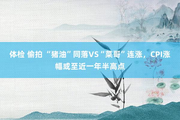 体检 偷拍 “猪油”同落VS“菜哥”连涨，CPI涨幅或至近一年半高点