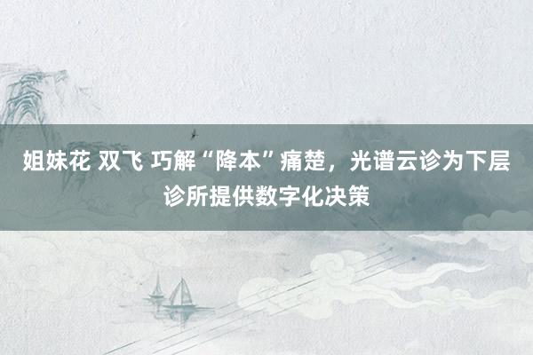 姐妹花 双飞 巧解“降本”痛楚，光谱云诊为下层诊所提供数字化决策