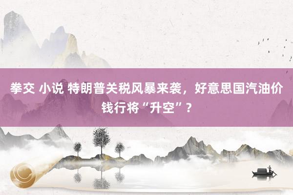 拳交 小说 特朗普关税风暴来袭，好意思国汽油价钱行将“升空”？