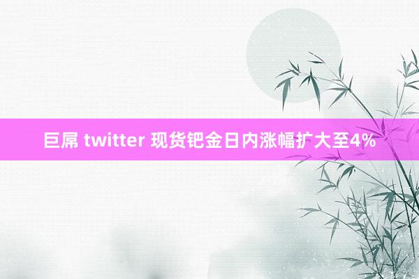 巨屌 twitter 现货钯金日内涨幅扩大至4%